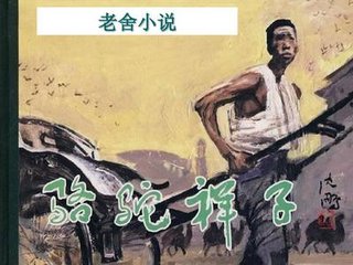 深入了解 糖心捅主任的日常
